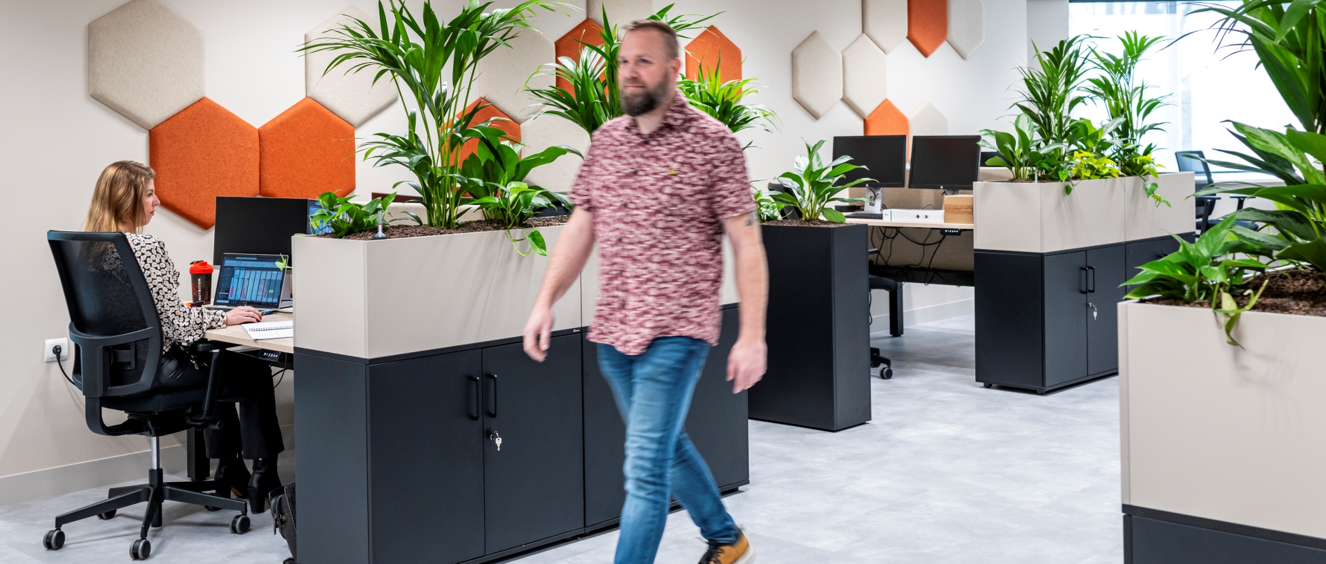 Sollicitatie procedure